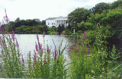 Mirror Lake -- click to enlarge